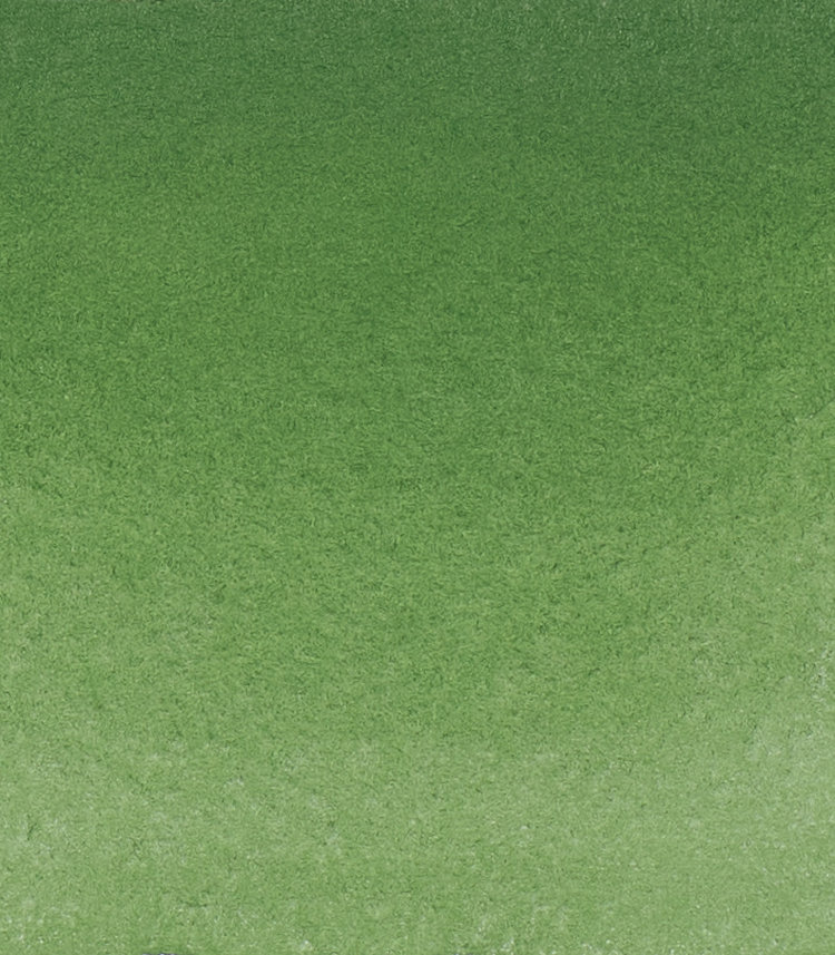 Schmincke (Horadam) 512 aquarelverf tube 5ml - chromium oxide green