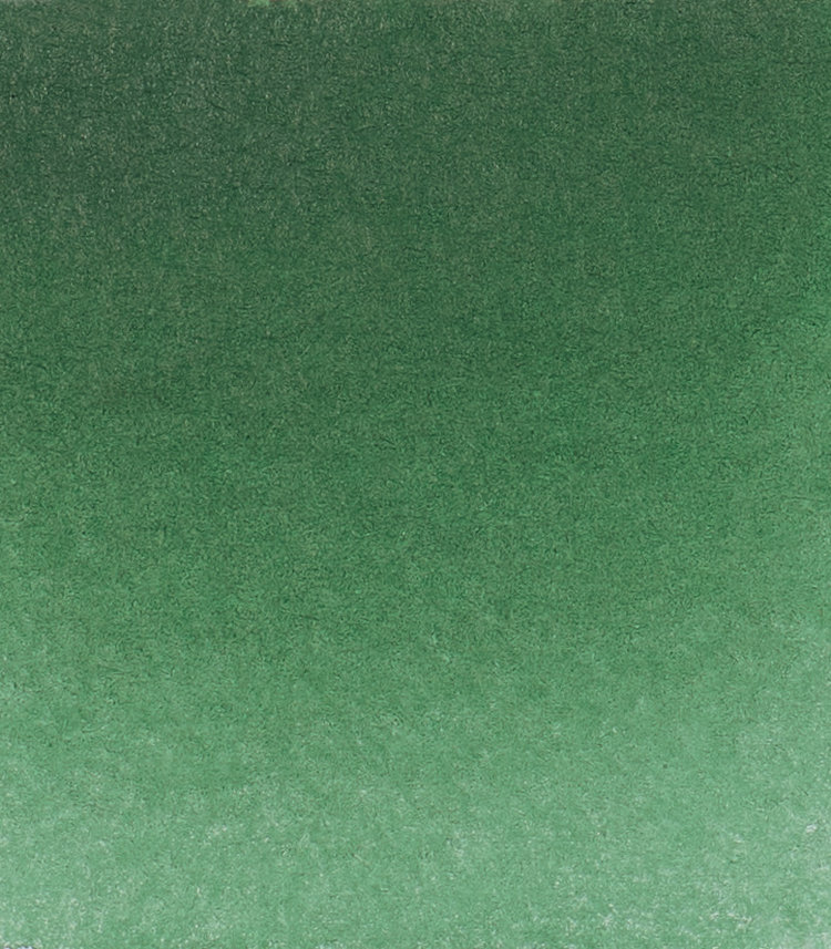 Schmincke (Horadam) 521 aquarelverf tube 5ml - Hooker's green