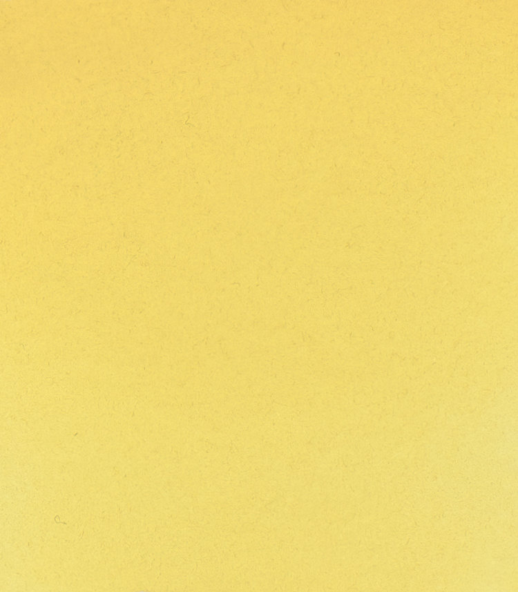 Schmincke (Horadam) 205 aquarel half napje - rutile yellow