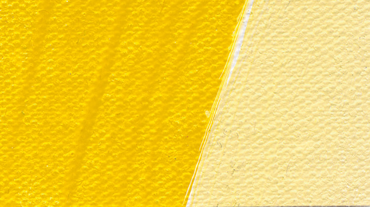 Schmincke 223 cadmium yellow hue - Akademie acryl tube 60ml