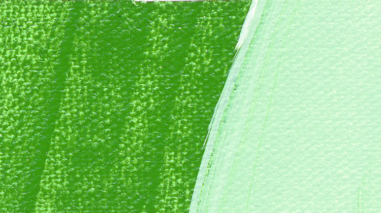 Schmincke 552 leaf green - Akademie acryl tube 60ml