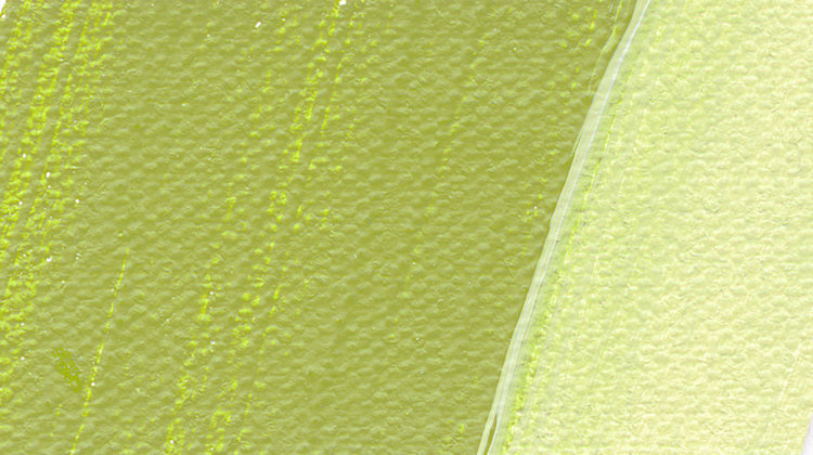 Schmincke 558 olive green - Akademie acryl pot 250ml