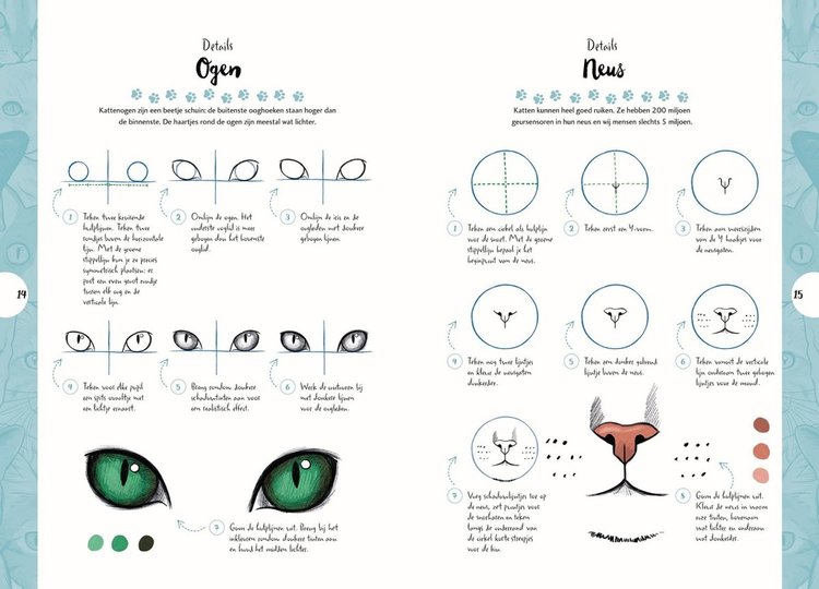 Librero katten tekenen in 10 stappen - Justine Lecouffe