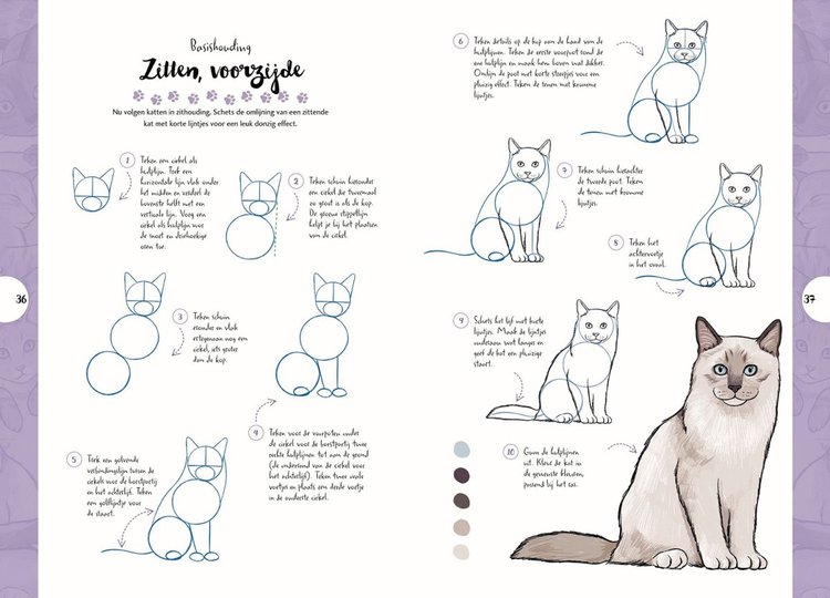 Librero katten tekenen in 10 stappen - Justine Lecouffe