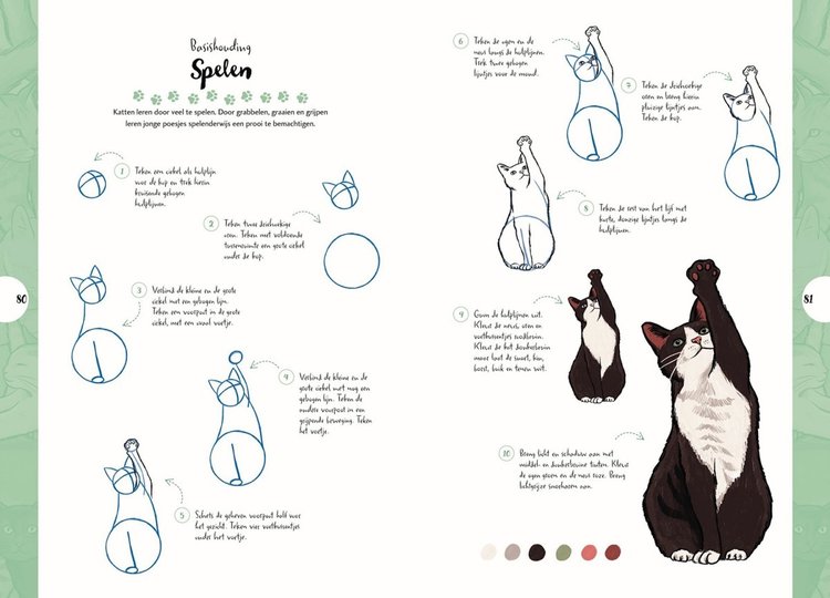 Librero katten tekenen in 10 stappen - Justine Lecouffe