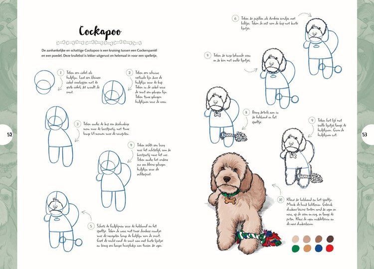 Librero honden tekenen in 10 stappen - Justine Lecouffe