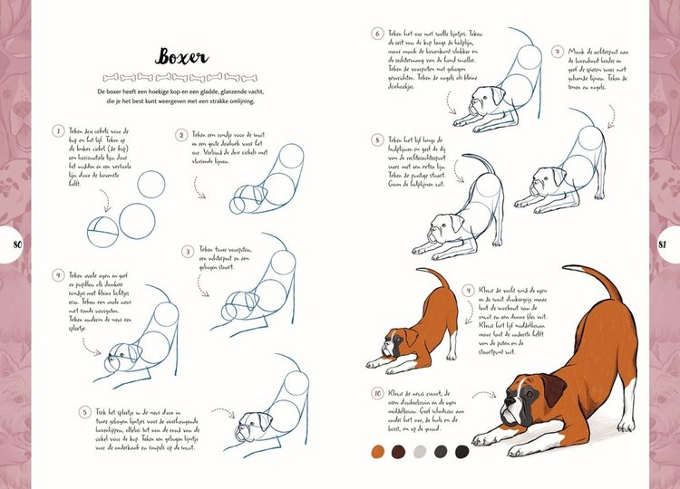 Librero honden tekenen in 10 stappen - Justine Lecouffe