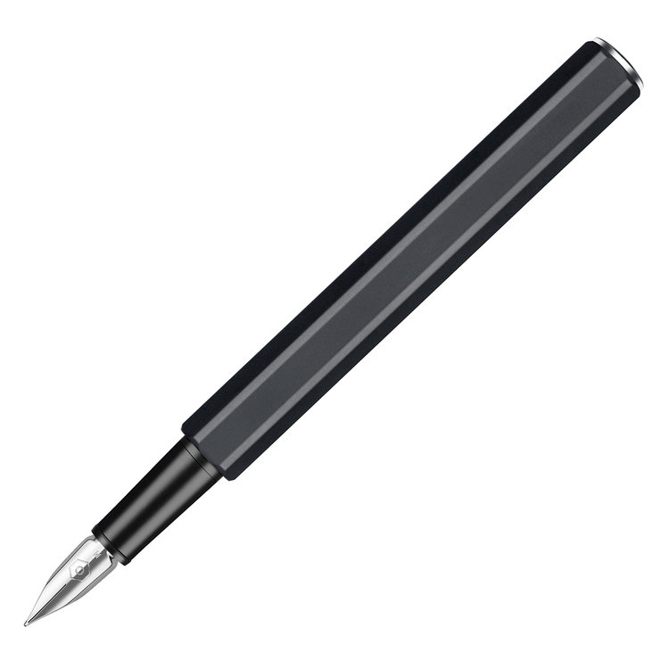 Caran d'Ache (schrijfwaren) vulpen (849) zwart - medium