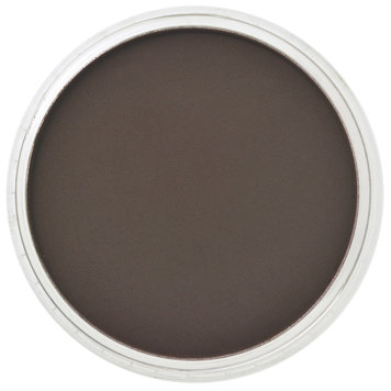 PanPastel (Golden) 780.1 raw umber extra dark