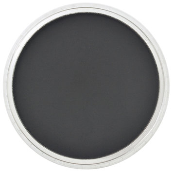 PanPastel (Golden) 800.5 black