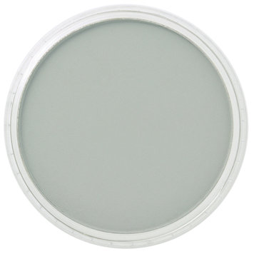 PanPastel (Golden) 820.5 neutral grey