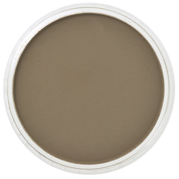 PanPastel (Golden) 780.5 raw umber