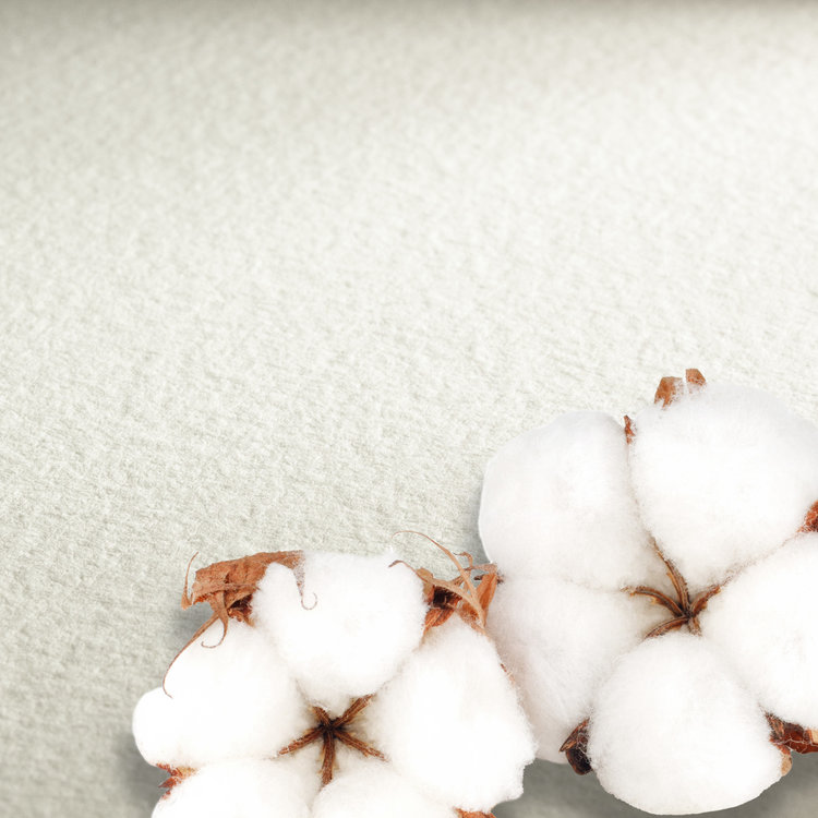 Hahnemühle The Collection Watercolour CP aquarelpapier