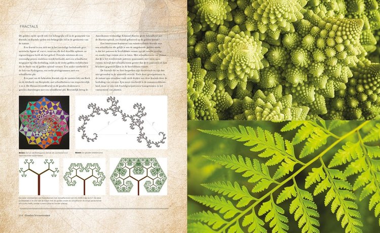 Librero de Gulden Snede - Gary B. Meisner