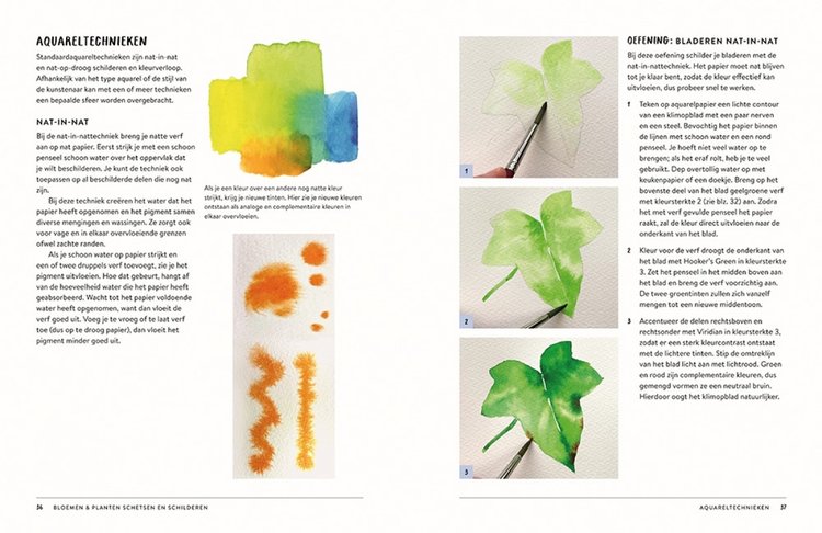 Librero bloemen en planten  schetsen en schilderen - Kyehyun Park