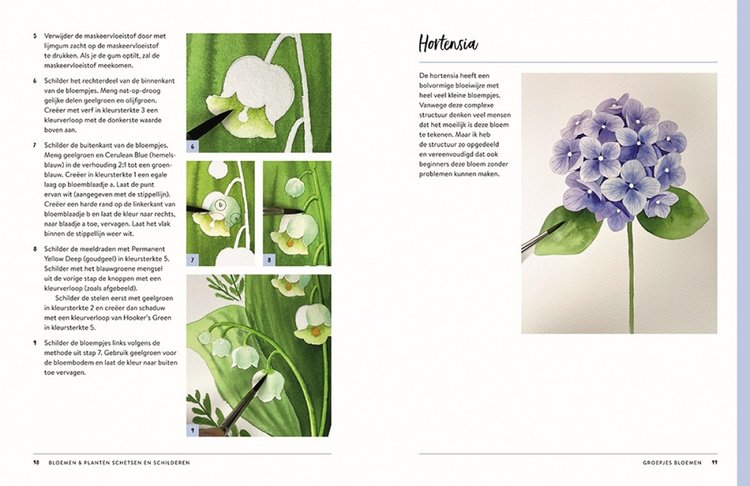 Librero bloemen en planten  schetsen en schilderen - Kyehyun Park