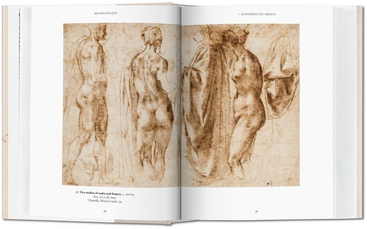 Taschen Michelangelo - Thomas Popper