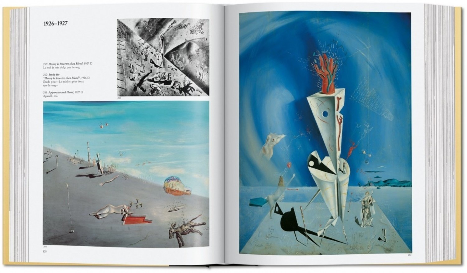 Dali the paintings - Robert Descharnes - KaJa Art Material