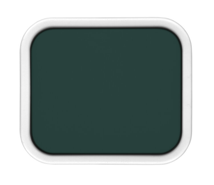 Caran d'Ache 210 emerald green - gouache napje