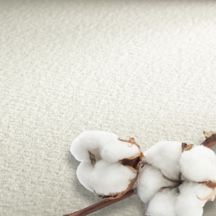 Hahnemühle The Collection Watercolour (640) 56x76 cm (5 vel)