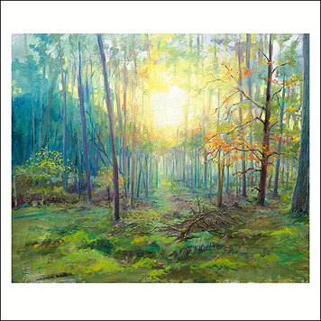 Art Revisited Keimpe van der Kooi - bospad