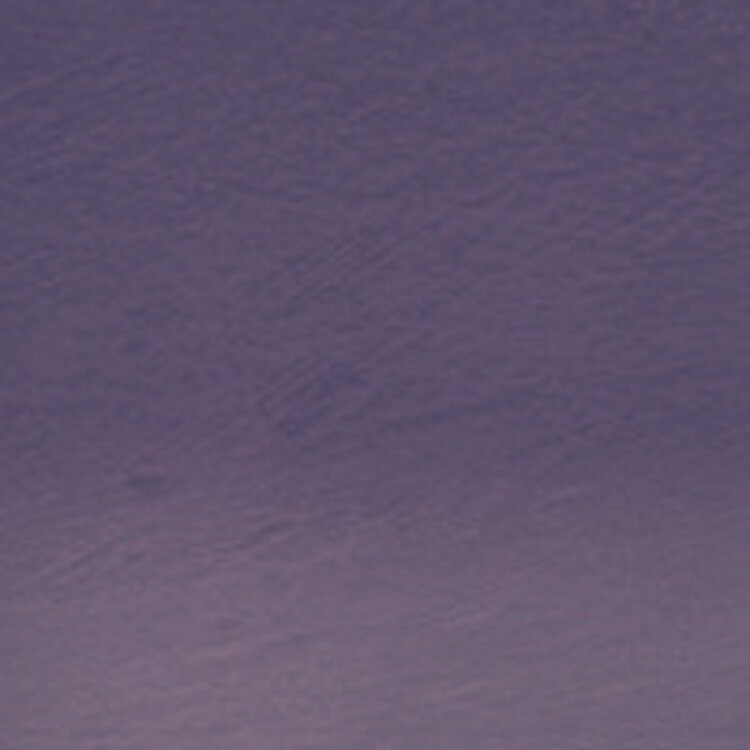 Derwent TC08 thistle houtskool potlood