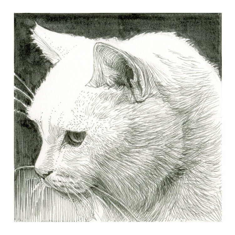 Sakura Pigma Micron grijs fineliner