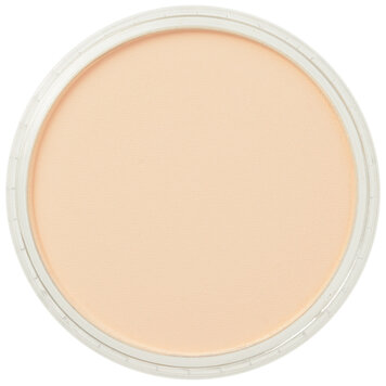 PanPastel (Golden) 280.8 orange tint