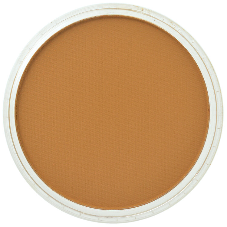 PanPastel (Golden) 280.3 orange shade