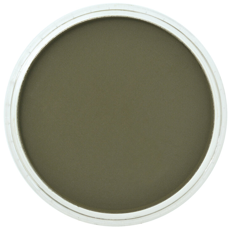 PanPastel (Golden) 680.1 bright yellow green extra dark