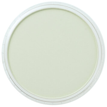 PanPastel (Golden) 660.8 chromium oxide green tint