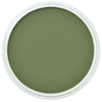 PanPastel (Golden) 660.3 chromium oxide green shade