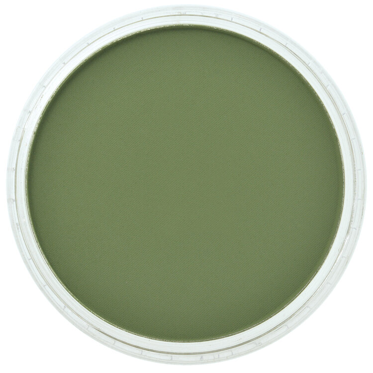 PanPastel (Golden) 660.3 chromium oxide green shade