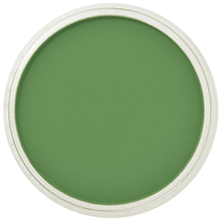 PanPastel (Golden) 660.5 chromium oxide green