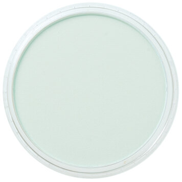 PanPastel (Golden) 620.8 phthalo green tint