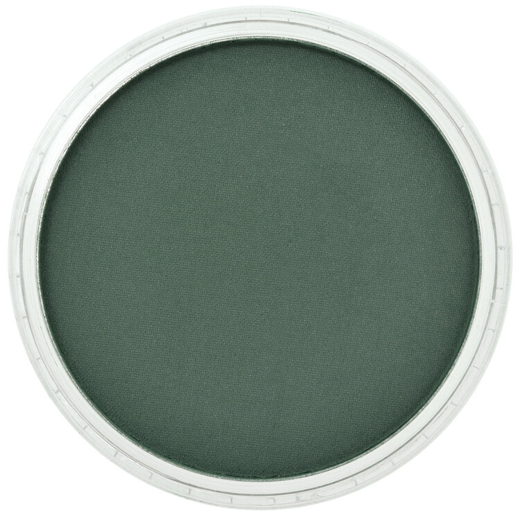 PanPastel (Golden) 620.1 phthalo green extra dark