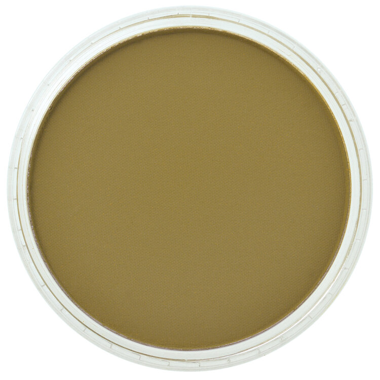PanPastel (Golden) 250.1 diarylide yellow extra dark
