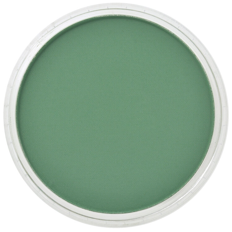 PanPastel (Golden) 640.3 permanent green shade