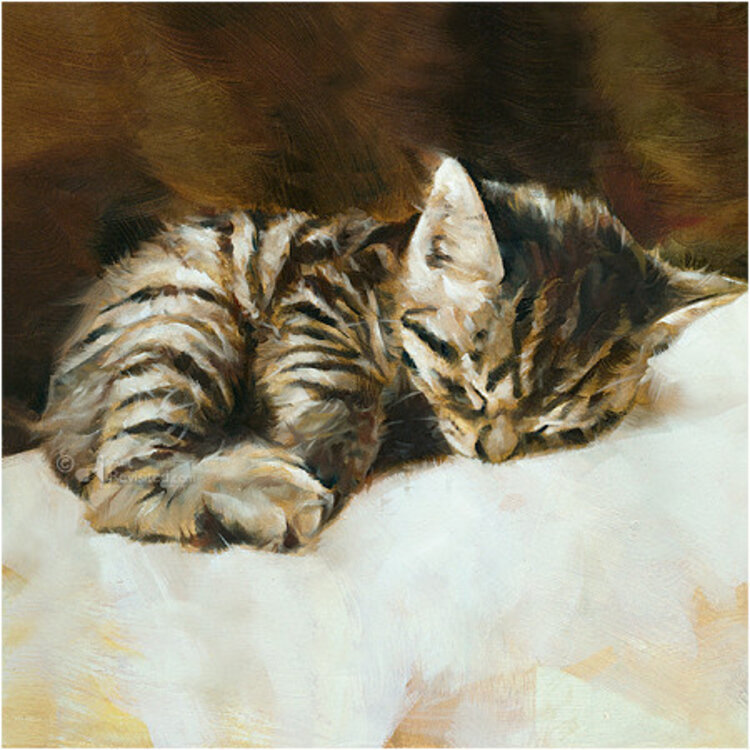 Art Revisited Kittens - mapje met 8 kunstkaarten van Dorus Brekelmans