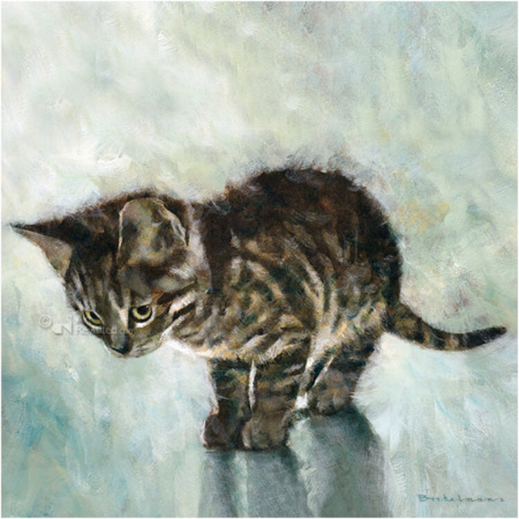 Art Revisited Kittens - mapje met 8 kunstkaarten van Dorus Brekelmans