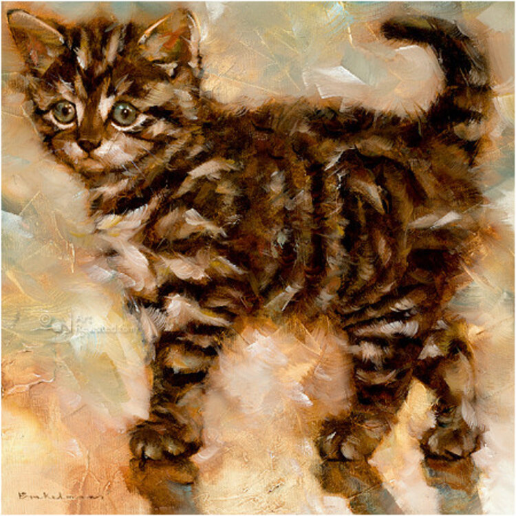 Art Revisited Kittens - mapje met 8 kunstkaarten van Dorus Brekelmans