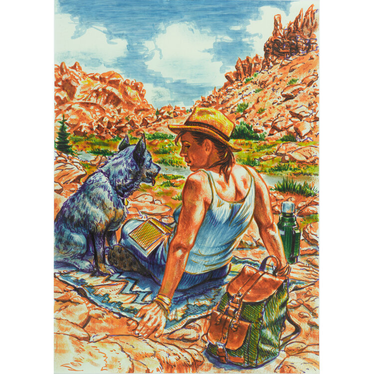 Faber Castell Pitt Artist brushpen (summer vibes)