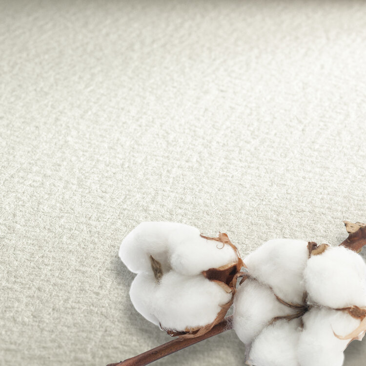 Hahnemühle The Collection Watercolour (300) rough