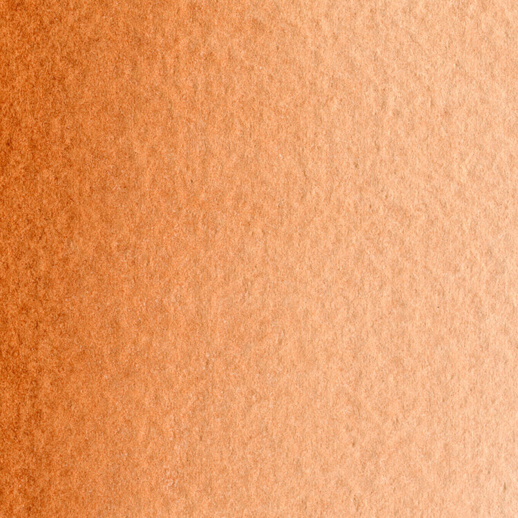 Maimeri Blu 278 burnt sienna - napje aquarelverf