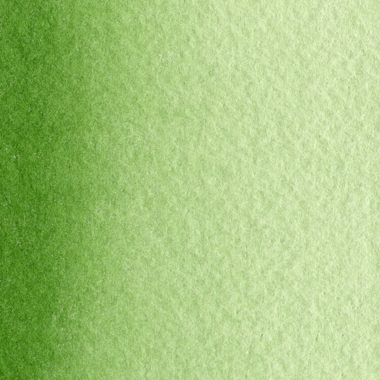Maimeri Blu 358 sap green - napje aquarelverf
