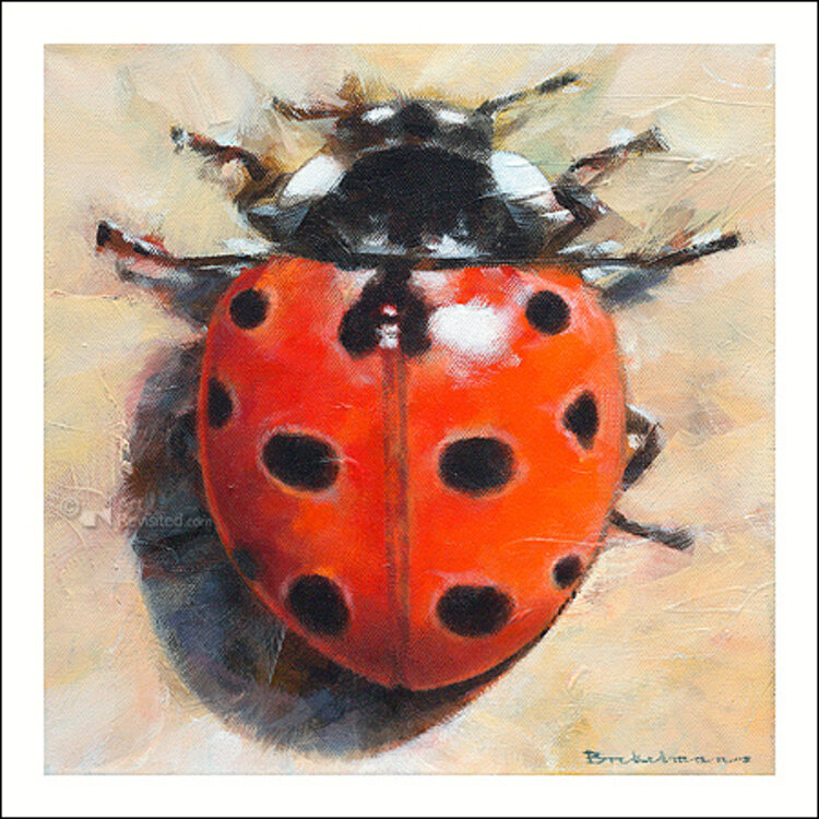 Art Revisited kunstkaart Dorus Brekelmans - coccinella undecimpunctata