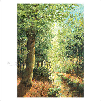 Art Revisited kunstkaart Marius van Dokkum - landschap