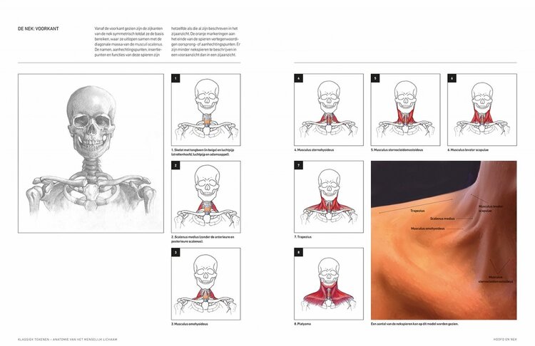 Librero boek Klassiek tekenen - anatomie van het menselijk lichaam -  Ken Goldman