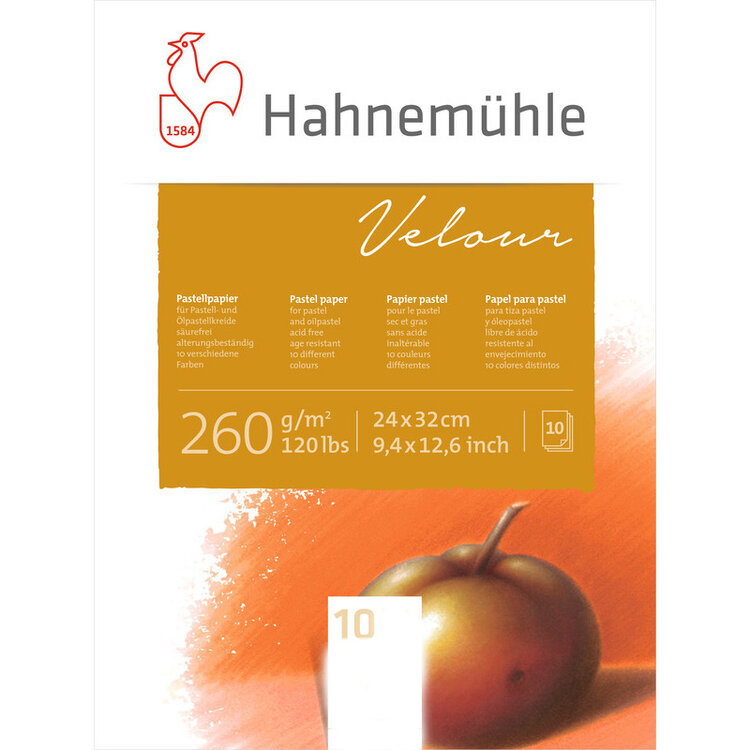 Hahnemühle Velour pastelpapier (wit)