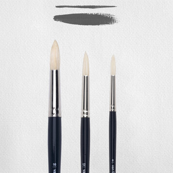 Van Gogh varkensharen penselen rond set (211)